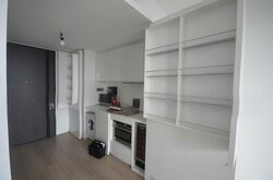 Skysuites@Anson (D2), Apartment #517375141